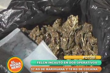 LA FELCN INCAUTÓ VARIOS KILOS DE SUSTANCIAS CONTROLADAS