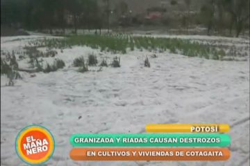 GRANIZADA CAUSA DESTROZOS EN EL MUNICIPIO DE COTAGAITA