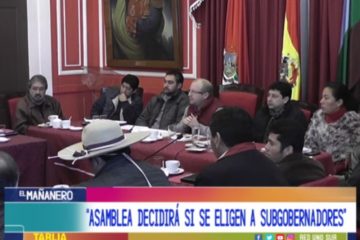 ASAMBLEA DECIDIRÁ SI SE ELIGEN A SUBGOBERNADORES