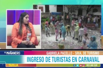 INGRESO DE TURISTAS PARA PRESENCIAR EL CARNAVAL DE TARIJA