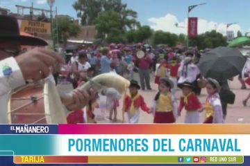 TEMA DEL DÍA: PORMENORES DEL CARNAVAL