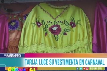 TARIJA LUCE SU VESTIMENTA EN CARNAVAL