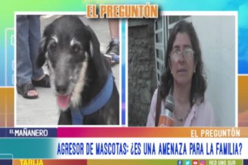 EL PREGUNTÓN: AGRESOR DE MASCOTAS