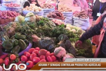 QUE ALGUIEN ME EXPLIQUE: LA ADUANA Y SENASAG CONTROLAN PRODUCTOS AGRÍCOLAS