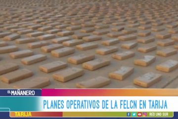 TEMA DEL DÍA: OPERATIVOS DE LA FELCN