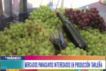 UVAS DE MESA INTERESAN A PARAGUAYOS