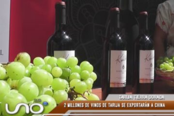 2 MILLONES DE VINOS DE TARIJA SE EXPORTARÁN A CHINA