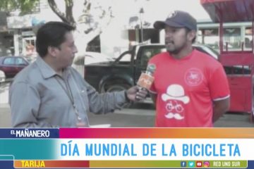 TEMA DEL DÍA: DÍA DE LA BICICLETA