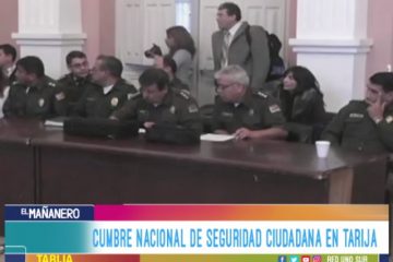 CUMBRE NACIONAL DE SEGURIDAD CIUDADANA EN TARIJA