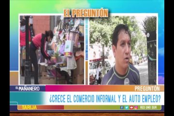 EL PREGUNTÓN: COMERCIO INFORMAL Y EL AUTO EMPLEO