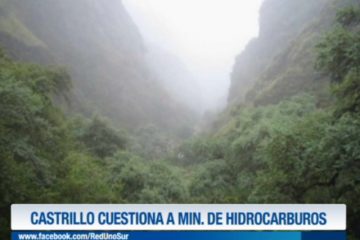 CASTRILLO CUESTIONA A MINISTRO DE HIDROCARBUROS