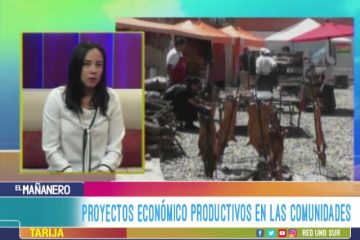 AVANCE PRODUCTIVO PARA LA GESTIÓN 2018 EN TARIJA