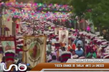 TARIJA TIERRA DORADA: FIESTA GRANDE DE TARIJA ANTE LA UNESCO