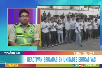 TEMA DEL DÍA: REACTIVAN BRIGADAS EN UNIDADES EDUCATIVAS