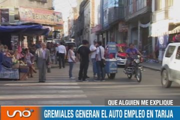 QUÉ ALGUIEN ME EXPLIQUE: EL AUTO EMPLEO EN TARIJA