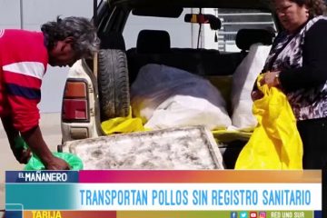 TRANSPORTAN POLLOS SIN REGISTRO SANITARIO