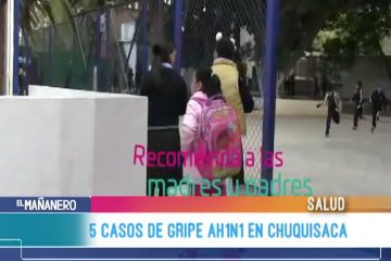 5 CASOS DE GRIPE AH1N1 EN CHUQUISACA