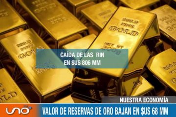 NUESTRA ECONOMÍA: RIN CAEN EN $US 806 MM HASTA INICIOS DE JULIO