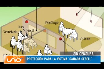 PROTECCIÓN PARA LA VÍCTIMA “CÁMARA GESELL”