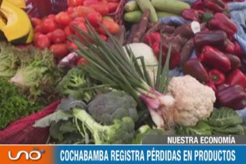 NUESTRA ECONOMÍA: EFECTOS DEL CAMBIO CLIMÁTICO EN EL AGRO