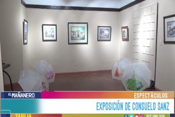 ESPECTÁCULO: EXPOSICIÓN DE CONSUELO SANZ