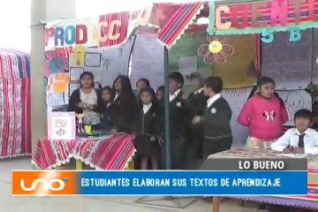 LO BUENO: FERIA EDUCATIVA DE LA U. E. FRANZ TAMAYO