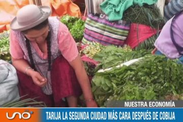 NUESTRA ECONOMÍA: INCREMENTO DE LOS PRECIOS EN SERVICIOS Y CONSUMO