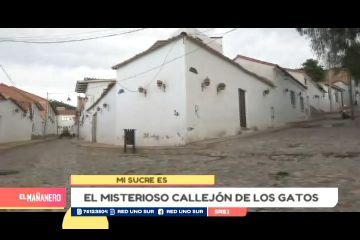 MI SUCRE ES: LOS CALLEJONES DE LOS GATOS