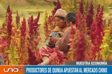 NUESTRA ECONOMÍA: PRODUCTORES DE QUINUA APUESTAN AL MERCADO CHINO