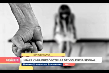 NIÑAS Y MUJERES VÍCTIMAS DE VIOLENCIA SEXUAL