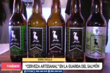 ESPECTÁCULO: FESTIVAL DE LA CERVEZA