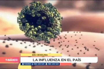 SIN CENSURA: LA INFLUENZA EN EL PAÍS