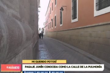 MI QUERIDO POTOSÍ: CONOCIENDO LA CALLE DE LA PULMONÍA