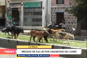 POSIBLES RIESGOS A LA SALUD POR EL ABANDONO DE CANES