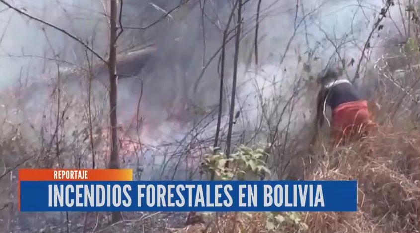 INCENDIOS FORESTALES EN BOLIVIA - Red Uno Sur