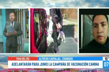 ADELANTARÁN PARA JUNIO LA CAMPAÑA DE VACUNACIÓN CANINA 