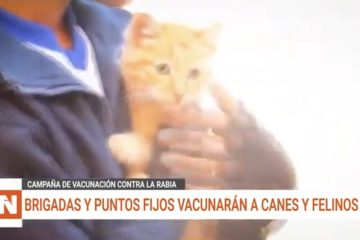 BRIGADAS Y PUNTOS FIJOS VACUNARÁN A CANES Y FELINOS