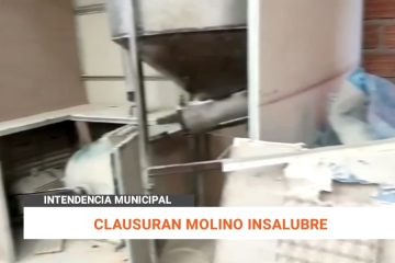 CLAUSURAN MOLINO INSALUBRE