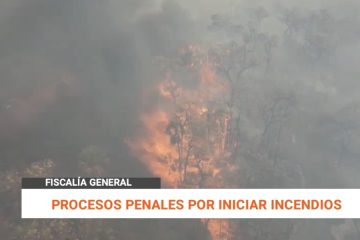 PROCESOS PENALES POR INICIAR INCENDIOS