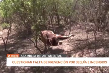 CUESTIONAN FALTA DE PREVENCIÓN POR SEQUÍA E INCENDIOS