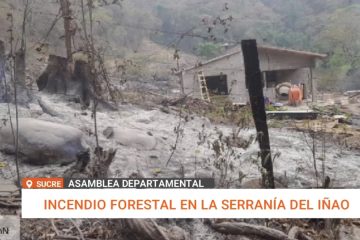 INCENDIO FORESTAL EN LA SERRANÍA DEL IÑAO