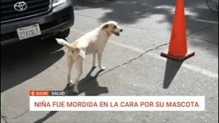 ATAQUE DE PERRO A UNA MENOR EN SUCRE: AUTORIDADES REFUERZAN CAMPAÑA DE VACUNACIÓN