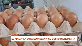 AVÍCOLAS EN ALERTA: PREVÉN SUBA EN EL PRECIO DEL HUEVO Y POLLO EN TARIJA