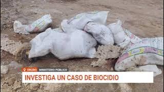 INVESTIGAN CASO DE BIODICIO TRAS EL HALLAZGO DE SEIS PERROS MUERTOS EN ORURO