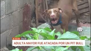 ATAQUE DE PITBULL A UNA ADULTA MAYOR EN SUCRE GENERA ALERTA SOBRE RAZAS PELIGROSAS